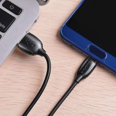 Кабель Borofone BX19 (USB - Type-C) черный &mdash; 2
